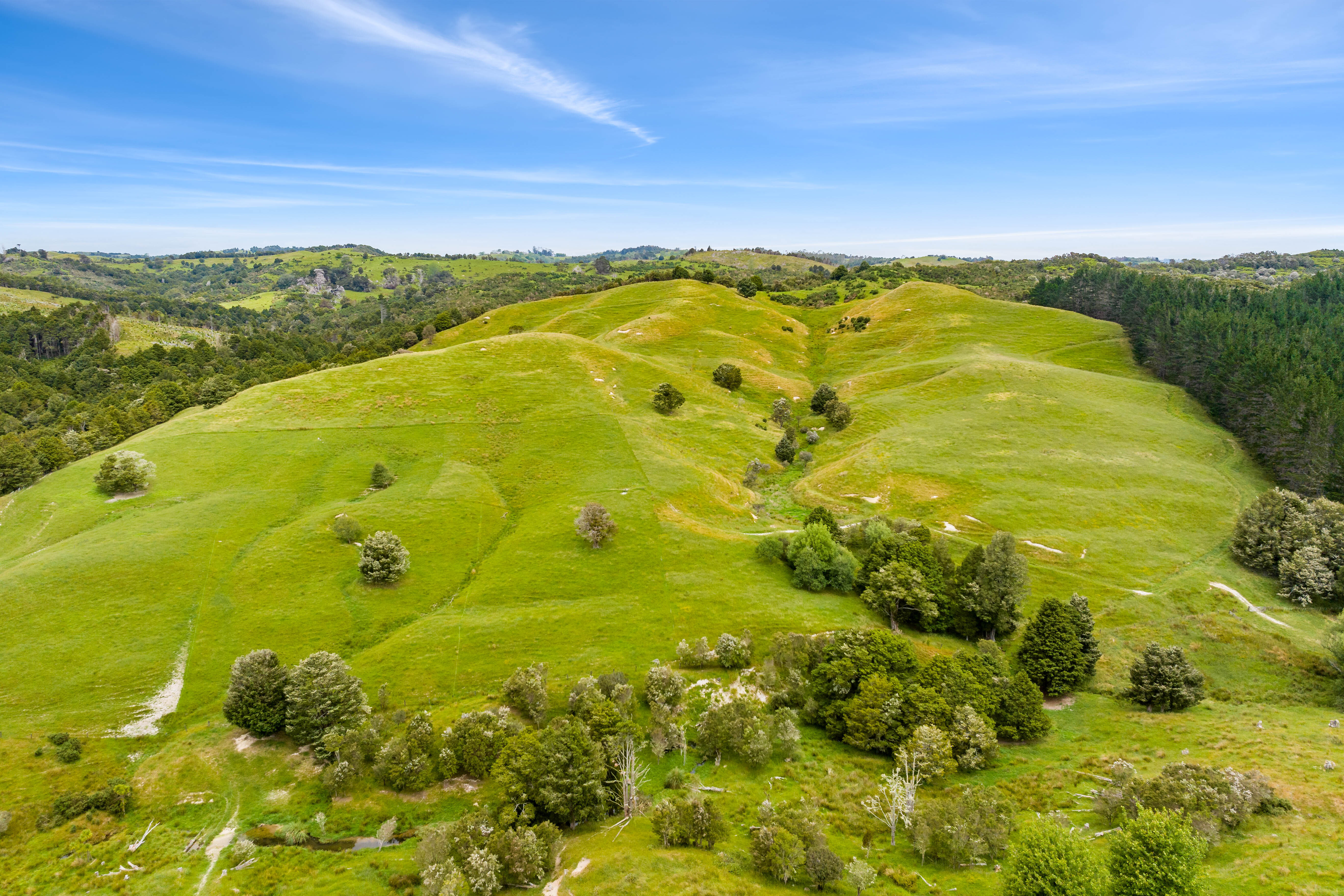 1228a Bull Road, Paparoa, Kaipara, 0 Kuwarto, 0 Banyo, Grazing