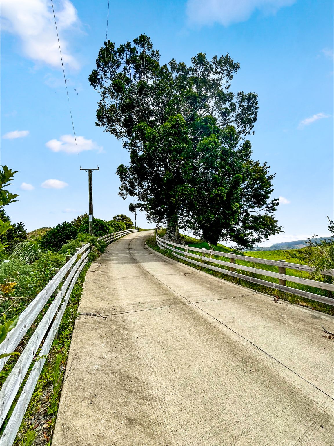 163 Ahuroa Road, Puhoi, photo 3
