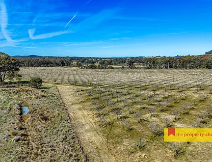 Lot 77/369 Montaza Road, Gulgong, North West, 6房, 2浴, Lifestyle Property