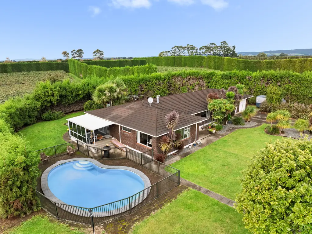 Aongatete Unique kiwifruit investment opportunity