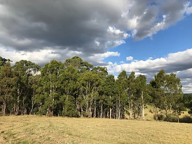 31 Marks Crescent, Oberon, NSW 2787, 0 slaapkamers, 0 badkamers, Section