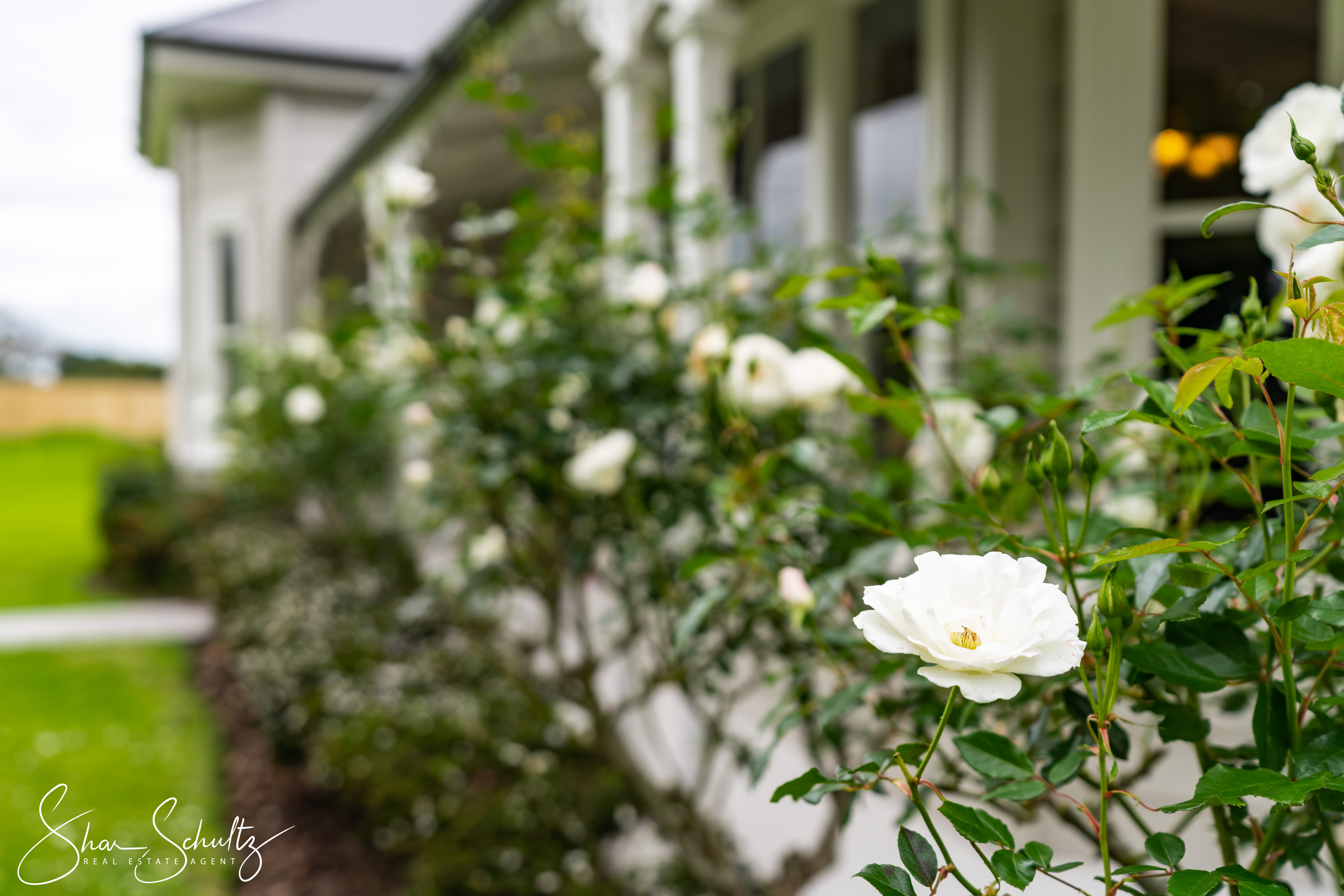 31 Franklin Road, Paparoa, Kaipara, 5 Bedrooms, 0 Bathrooms