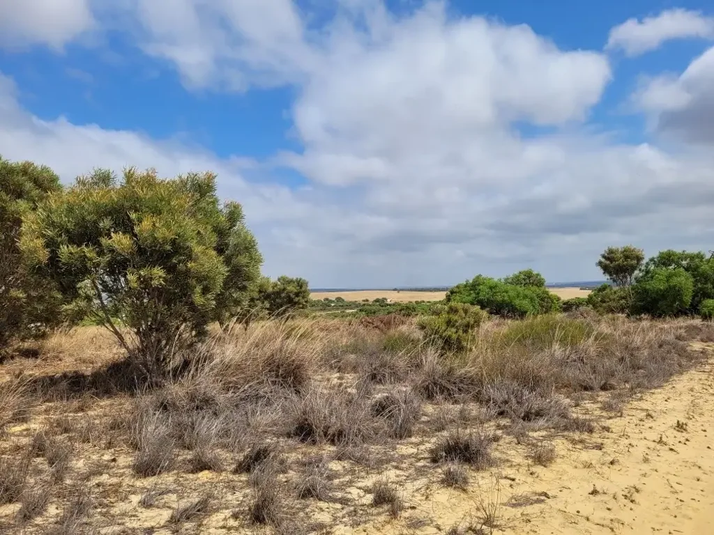 Lot 231 Bottlebrush Road, Nilgen, WA 6044