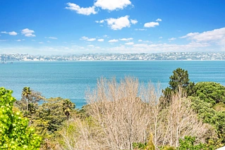 110 & 110A Beach Road, Castor Bay, North Shore City