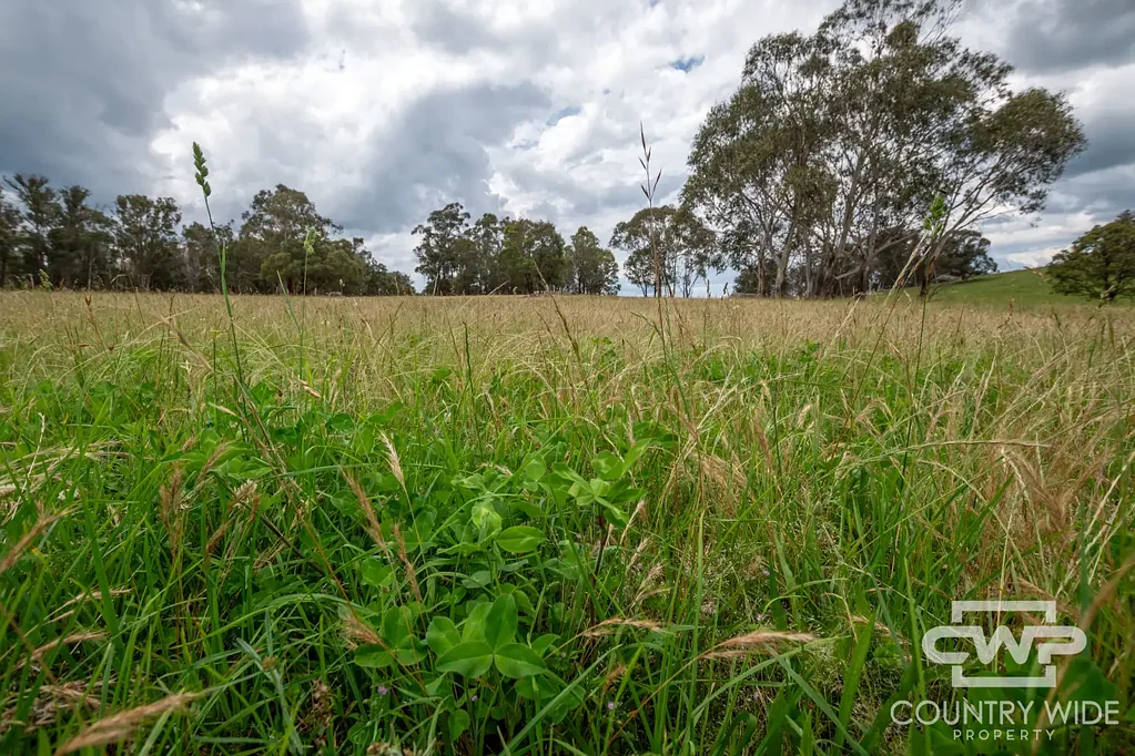 Pinkett "Woorara" - Versatile Grazing & Lifestyle Opportunity