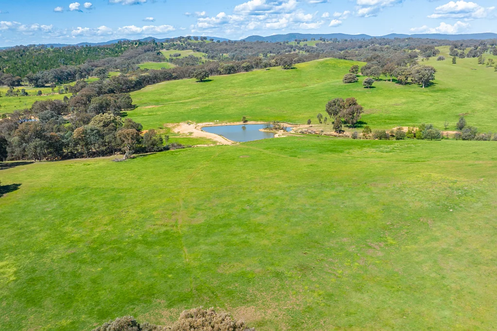 Mullengandra WELL IMPROVED GRAZING PROPERTY IN A PRIME LOCATION | 1430*Acres/ 578.7*Ha