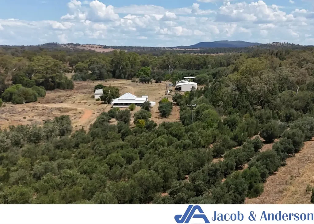 Gunnedah  Ivanhoe 217 Hectares (608 Acres)