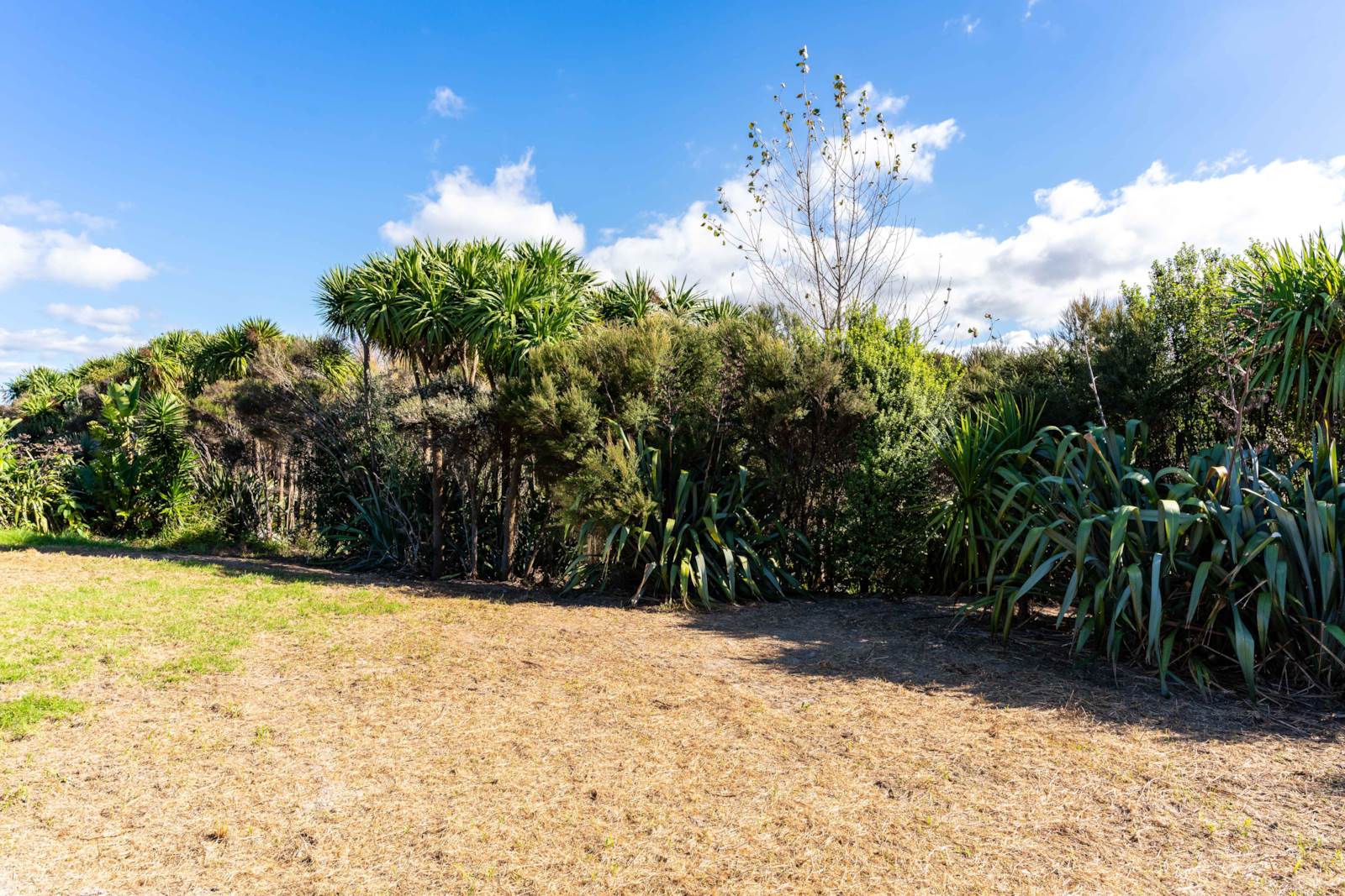 14 Jack Boyd Drive, Mangawhai Heads, Kaipara, 4房, 0浴