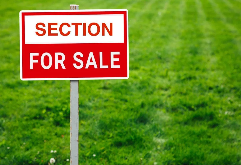 Karaka Bare Land – Your Grand Design Awaits!