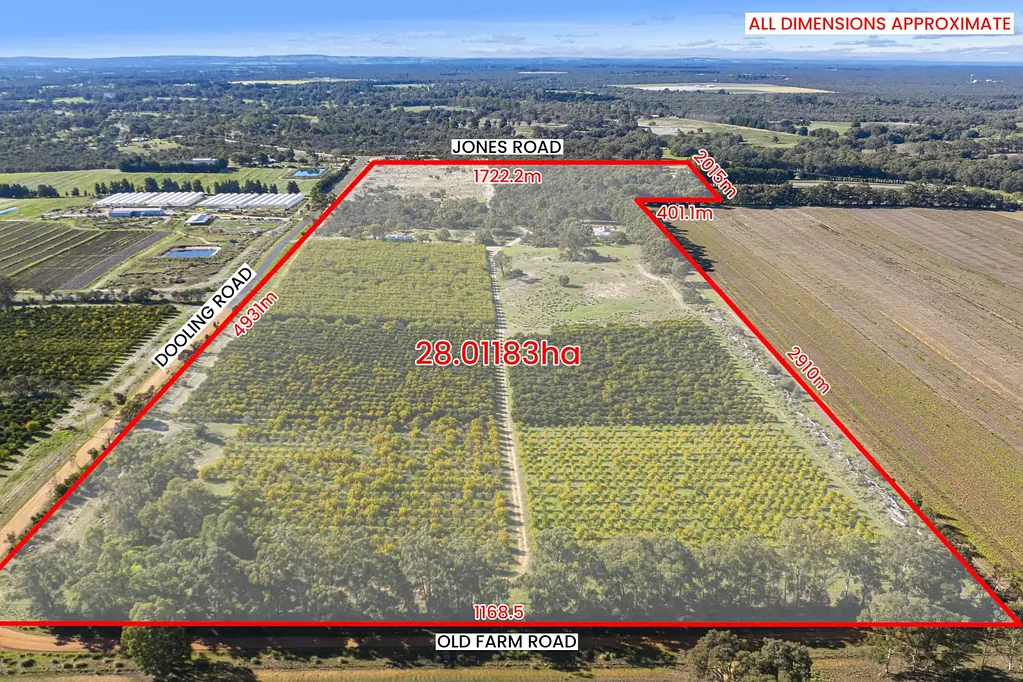 Neergabby PREMIUM CITRUS ORCHARD WITH HOMESTEAD ON DOOLING ROAD!