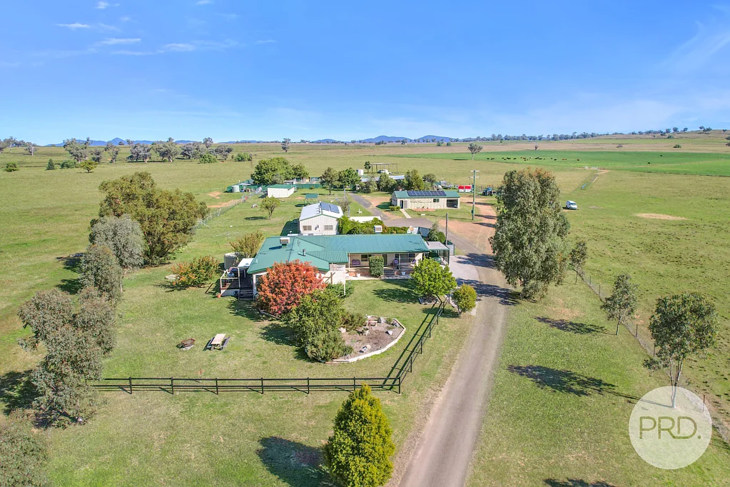 Tamworth Buy it today and start making money tomorrow!