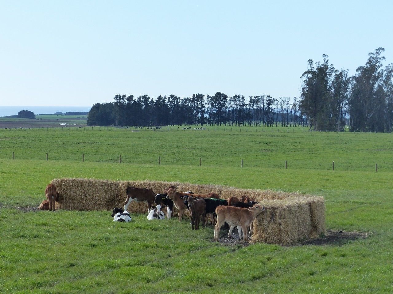 Tavistock Road, Otaio, Waimate, 3 habitaciones, 0 baños