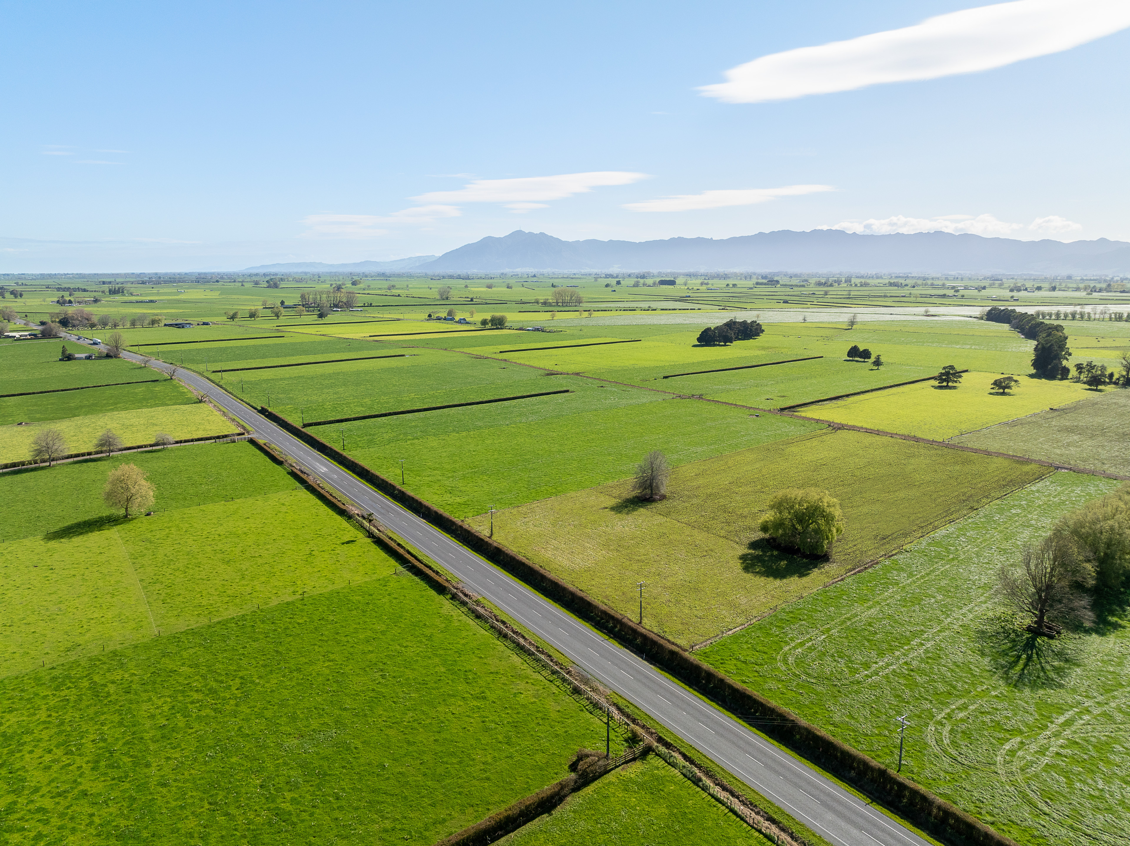 5965 State Highway 27, Ngarua, Matamata, 0 Schlafzimmer, 0 Badezimmer, Dairy