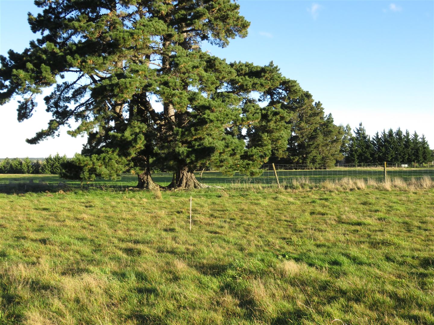 172 Bush Road, Oxford, Waimakariri, 0 Bedrooms, 0 Bathrooms