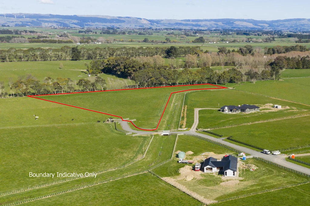 Feilding Premium section, endless possibilities!
