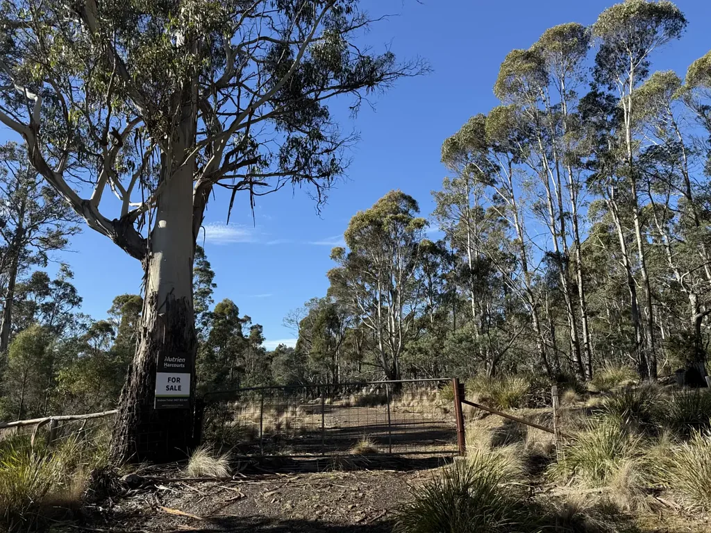Campbell Town Large bush block on 3 titles