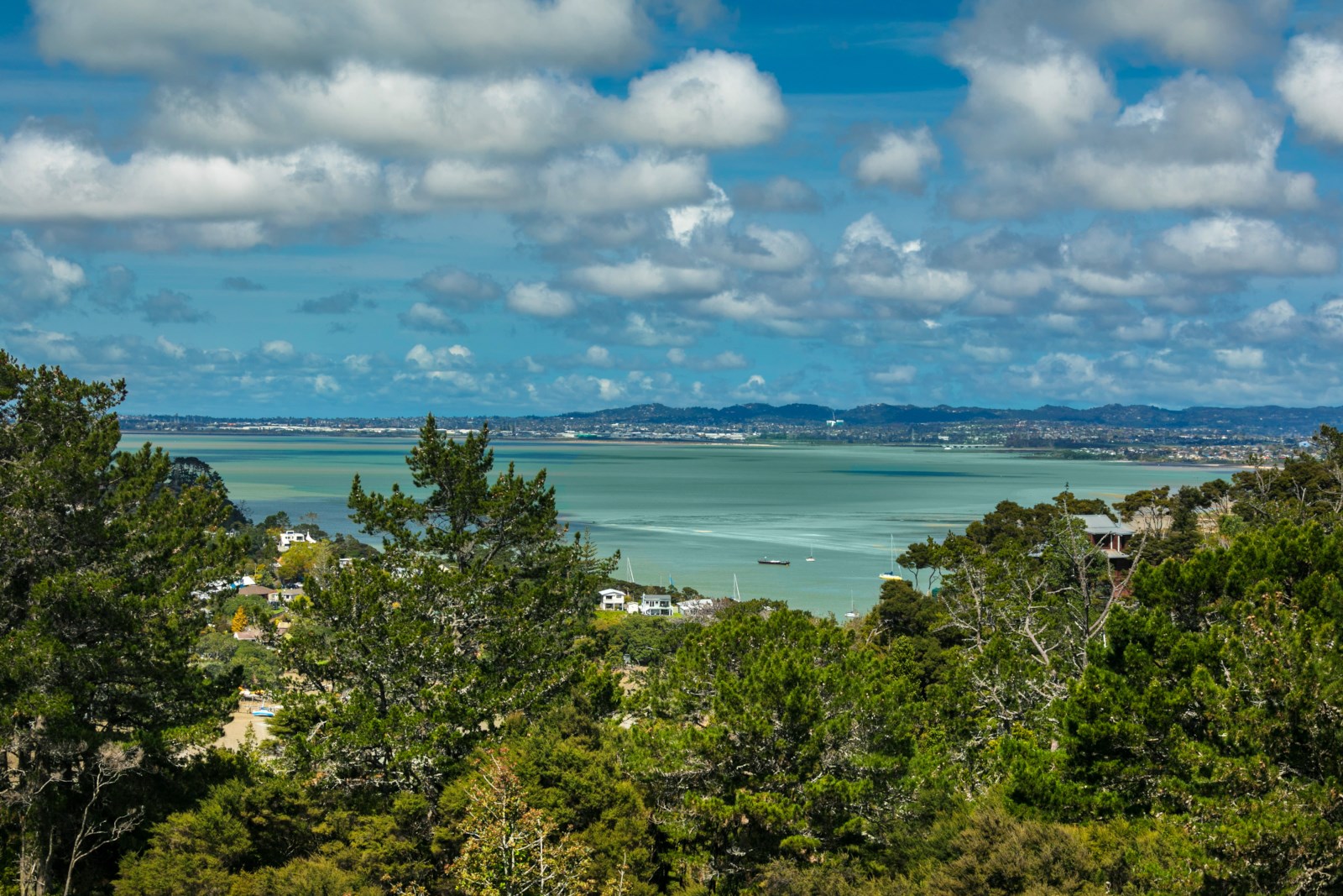 39 Upper Harbour Drive, Greenhithe, Auckland - North Shore, 8 રૂમ, 0 બાથરૂમ