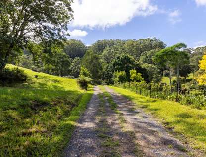 60 Hillandale Road, Broughton Vale, NSW 2535, 3 Bedrooms, 1 Bathrooms, Lifestyle Property