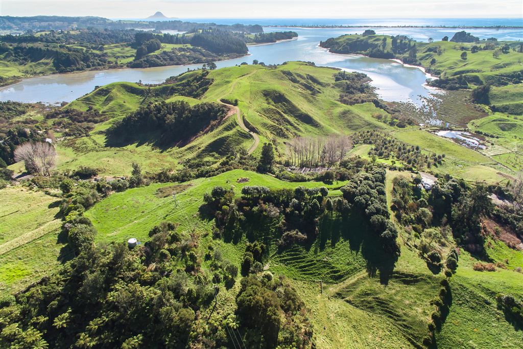 856a Wainui Road, Wainui, Whakatane, 0 Bedrooms, 0 Bathrooms