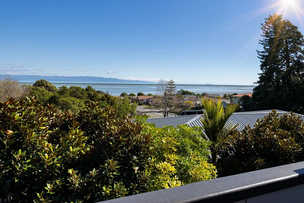 Atawhai 4房  Family Living with Haven Views