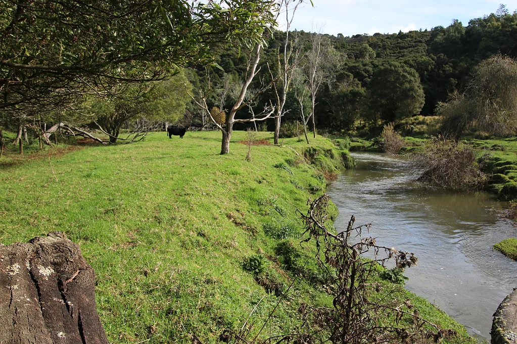 Kaeo Blissful Basic Bargain