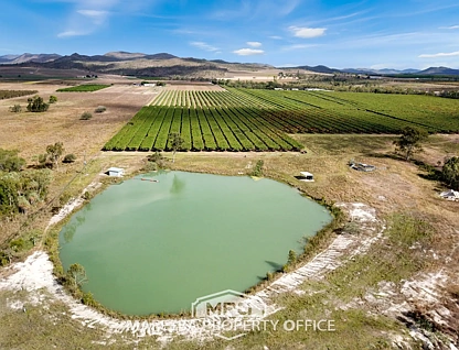 65793 Burke Developmental Road, Dimbulah, Far North, 7 chambres, 5 salles de bain, Lifestyle Property