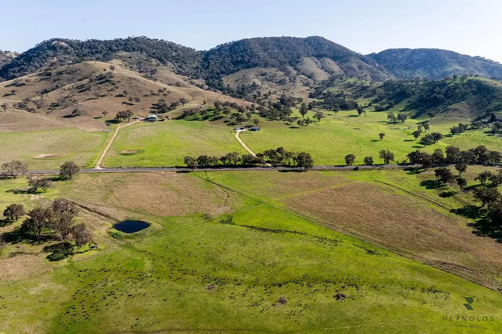 Mudgee Farm, Relax and enjoy