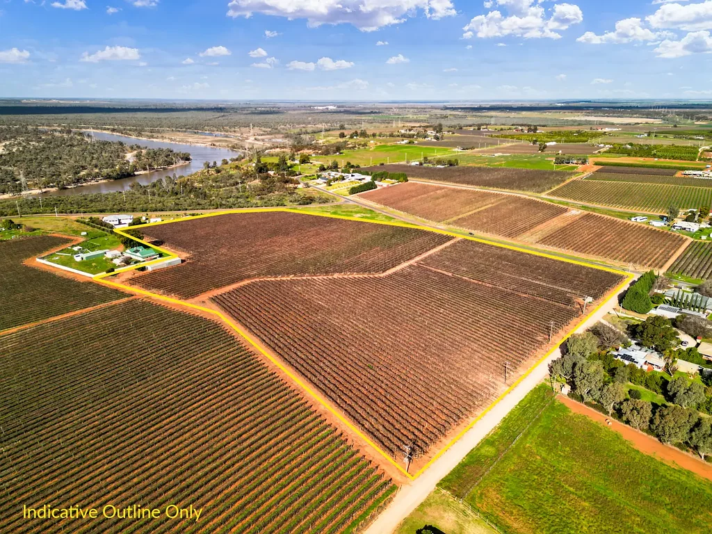 Red Cliffs Chardonnay Vineyard with Shedding