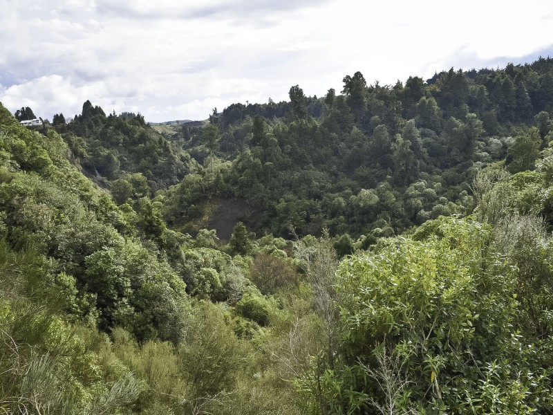 1732 State Highway 4, National Park, Ruapehu, 0 phòng ngủ, 1 phòng tắm