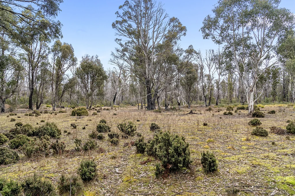 Waddamana Your own piece of wilderness in Tasmania's Central Highlands