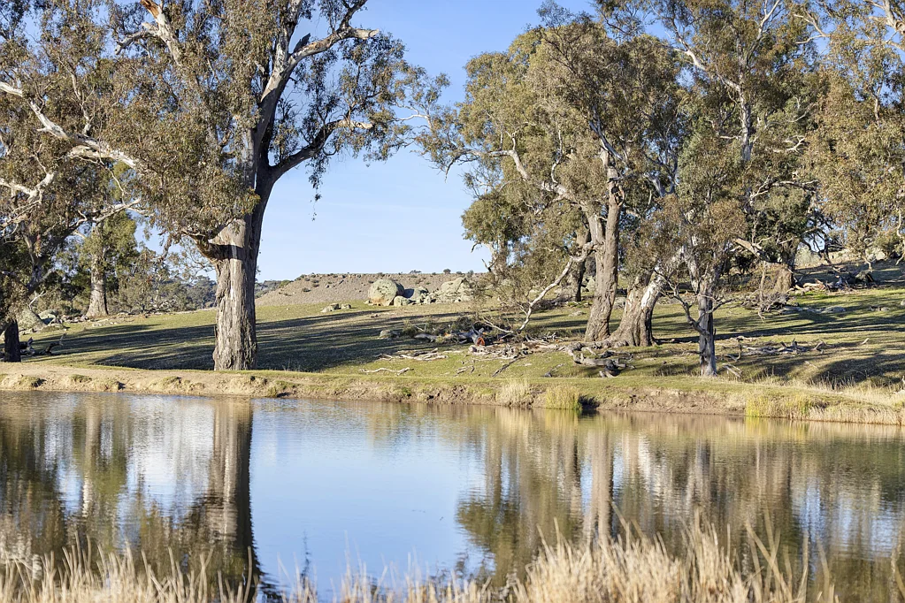Lot 2  727 - LP12750 Coliban Park Road, Redesdale, VIC 3444