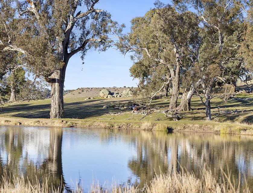 Lot 2  727 - LP12750 Coliban Park Road, Redesdale, Bendigo, 0 कमरे, 0 बाथरूम, Lifestyle Property