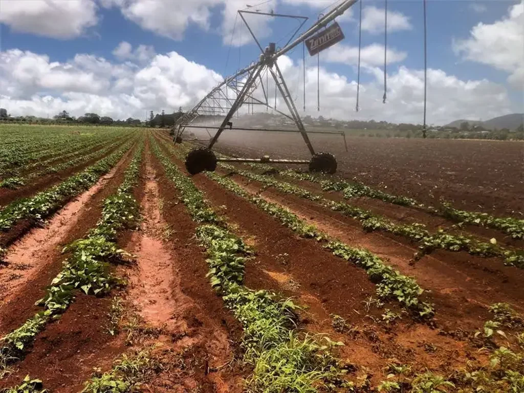 Atherton Rare Atherton Tablelands Acreage: 71+ Acres Near Tinaroo Dam – Space, Serenity & Opportunity