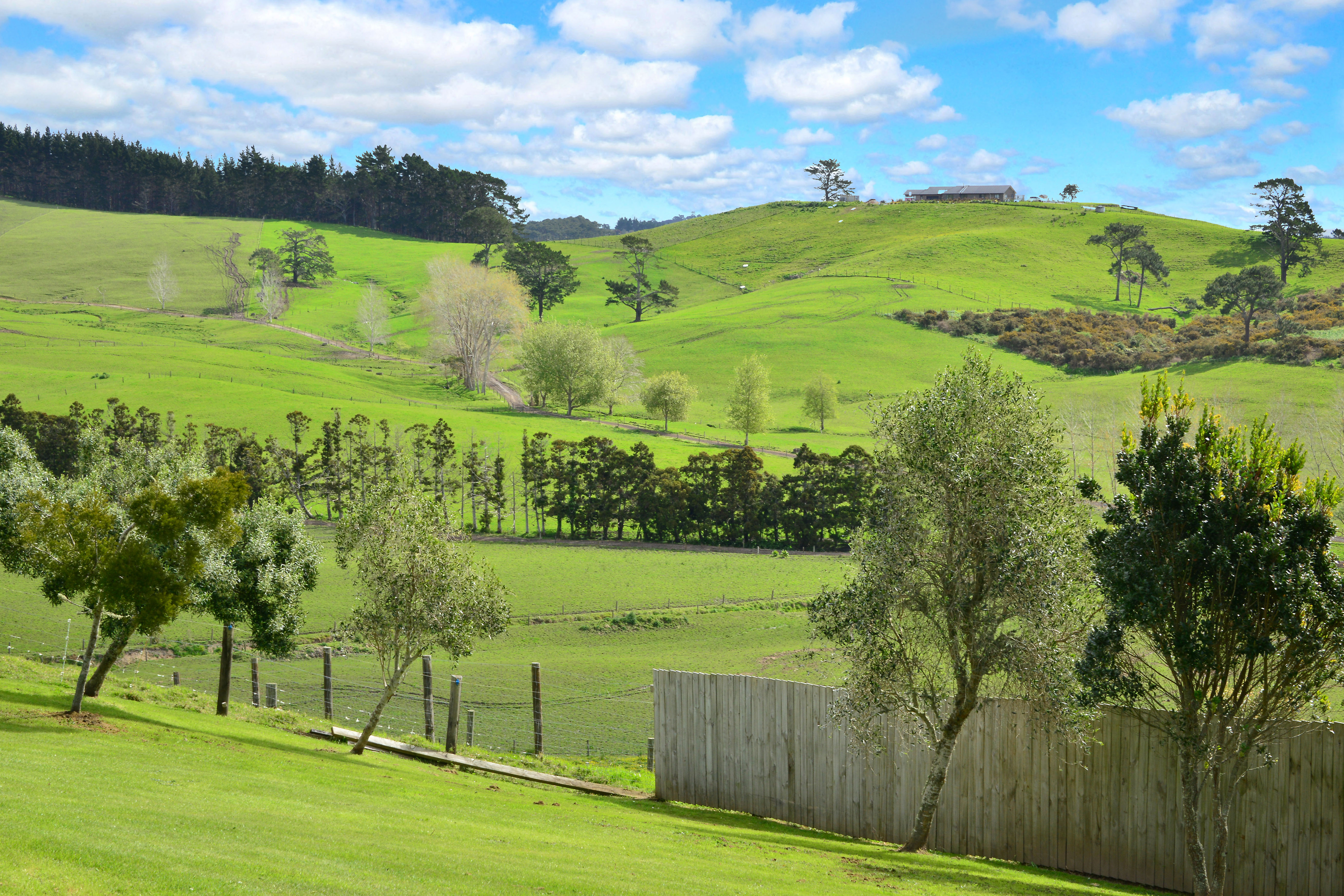 62 Frost Road, Waitoki, Auckland - Rodney, 3 Bedrooms, 2 Bathrooms