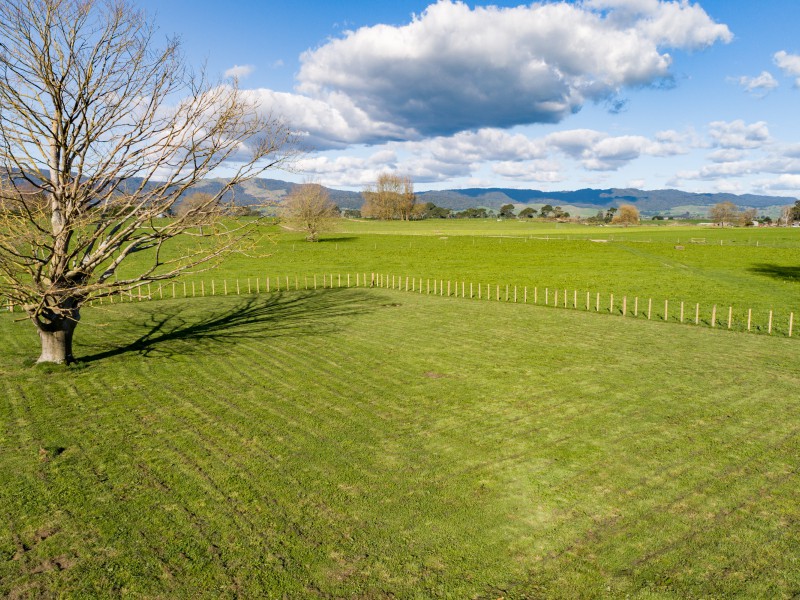 3985 State Highway 29, Te Poi, Matamata, 0 habitaciones, 0 baños