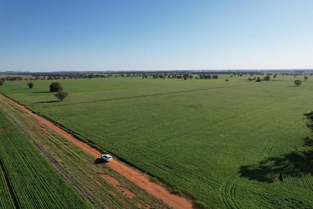 1 Lisgar Lane, Tullamore, NSW 2874