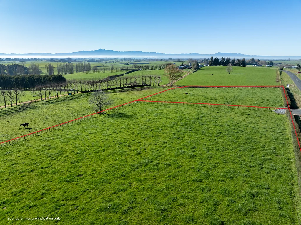 Morrinsville Two prime sections - titles now issued!