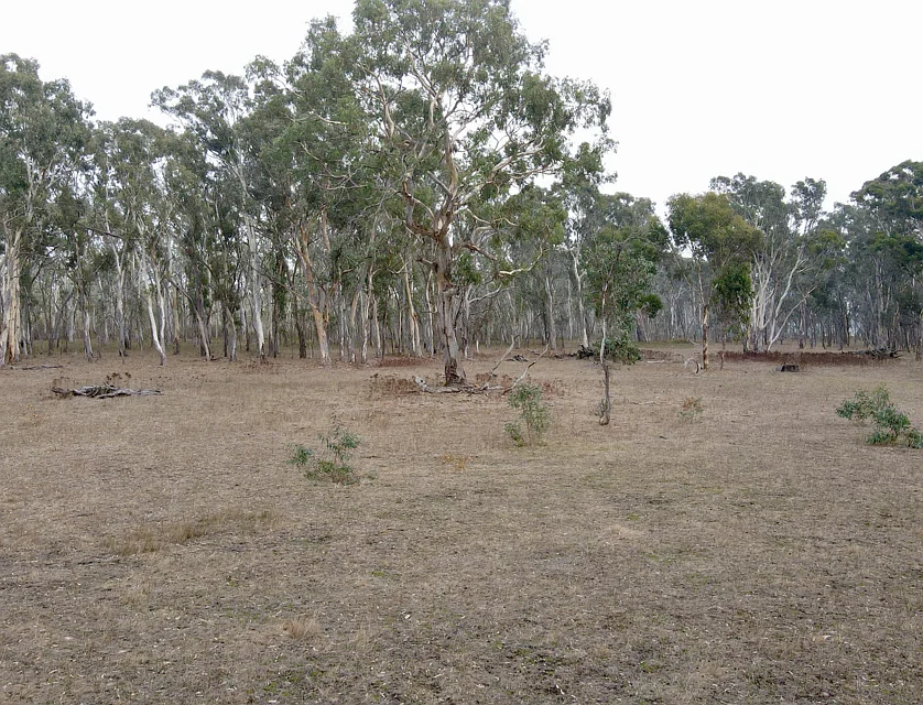 Lot 1 Fullartons Road, Poolaijelo, Portland and Glenelg Shire, 0 Schlafzimmer, 0 Badezimmer, Lifestyle Property
