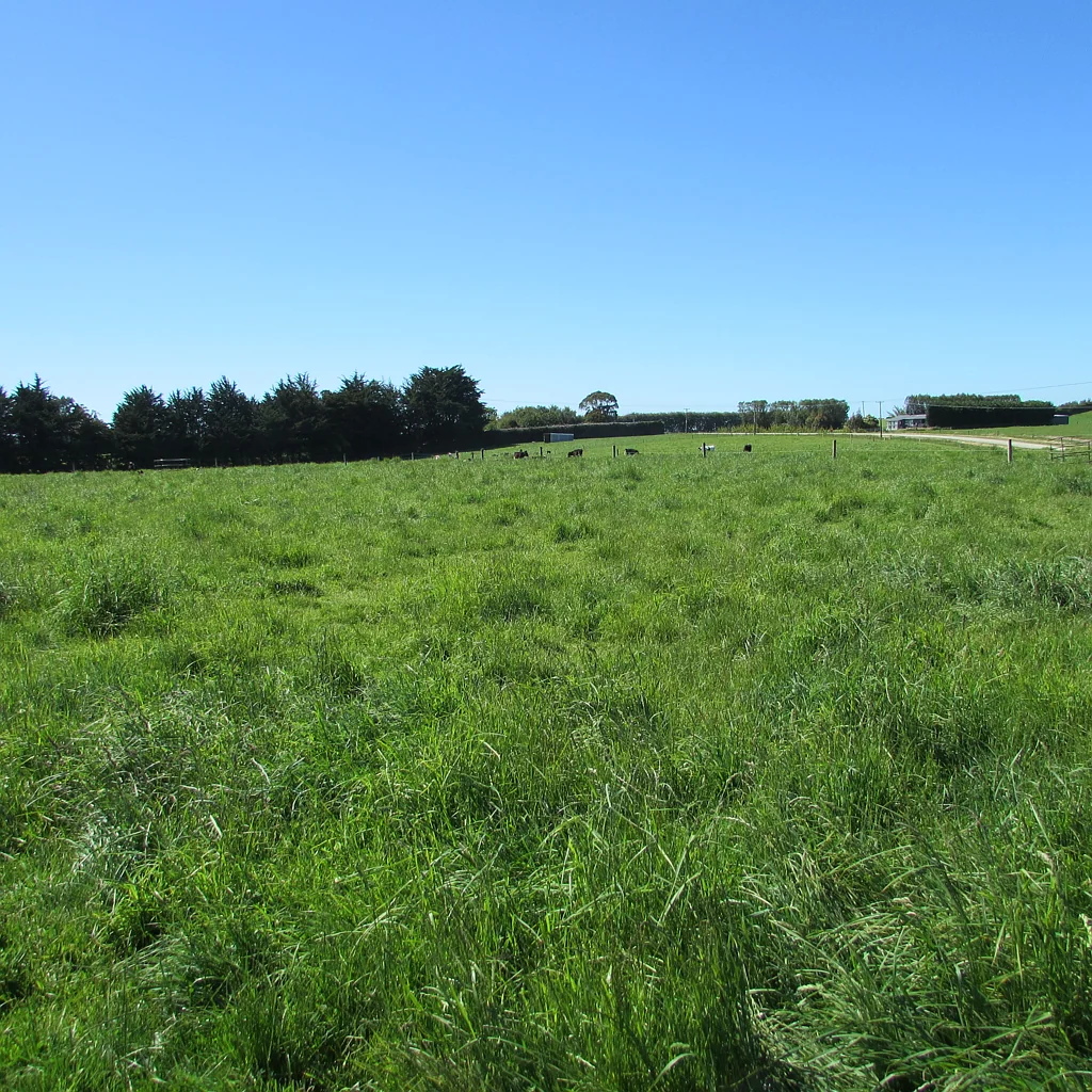 Gore Surrounds Maitland lifestyle and grazing opportunity