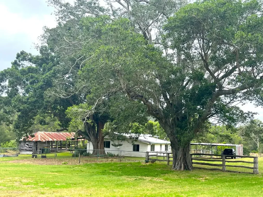 393 Gittins Road, Withcott, QLD 4352