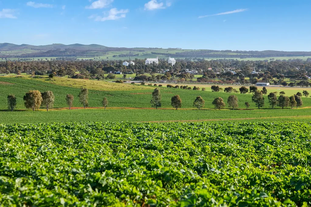 Jamestown Reliable Arable Country - Just Minutes from Town