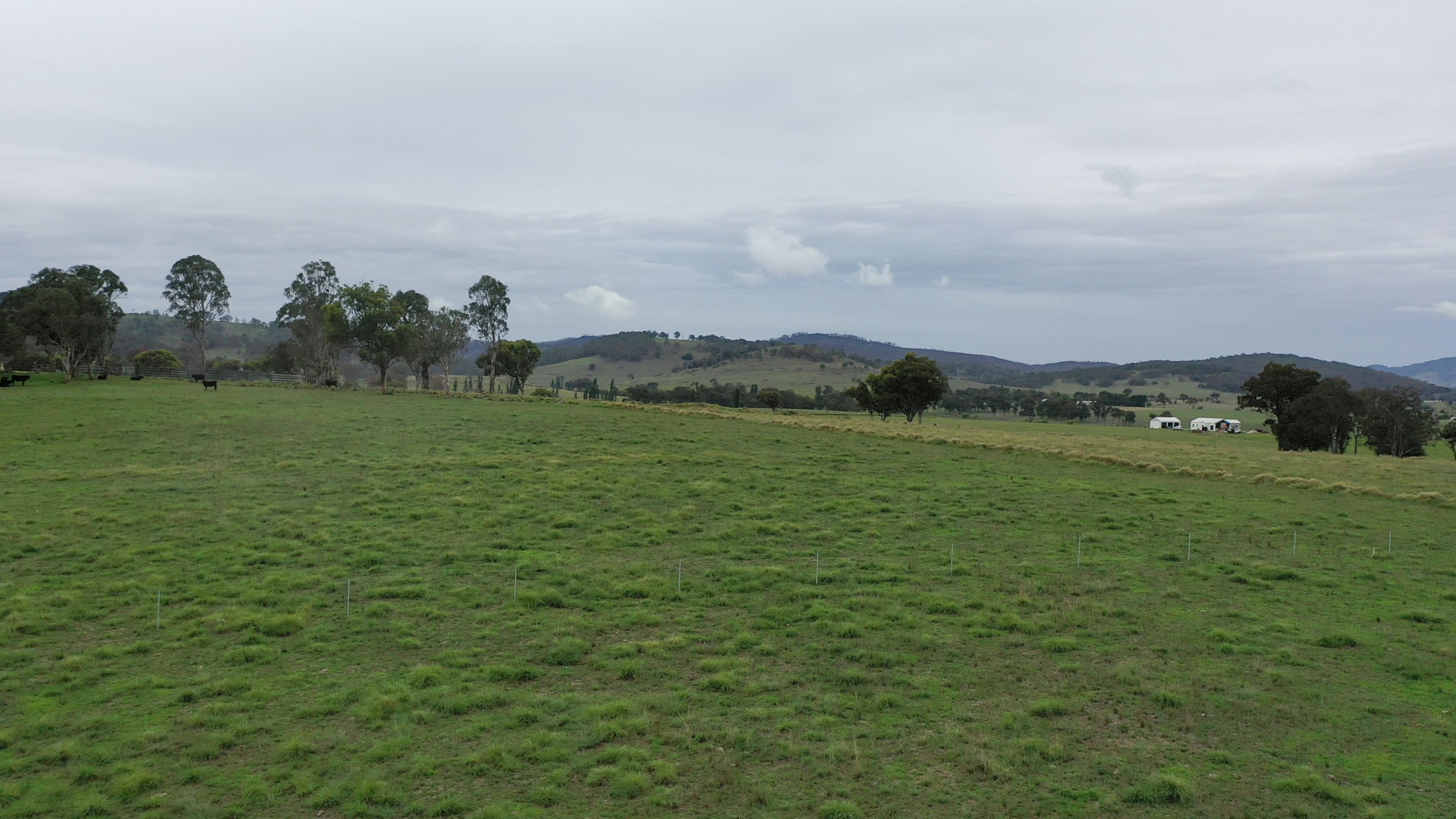 57 BRYANS GAP RD, TENTERFIELD NSW 2372, 0 habitaciones, 0 baños, Section