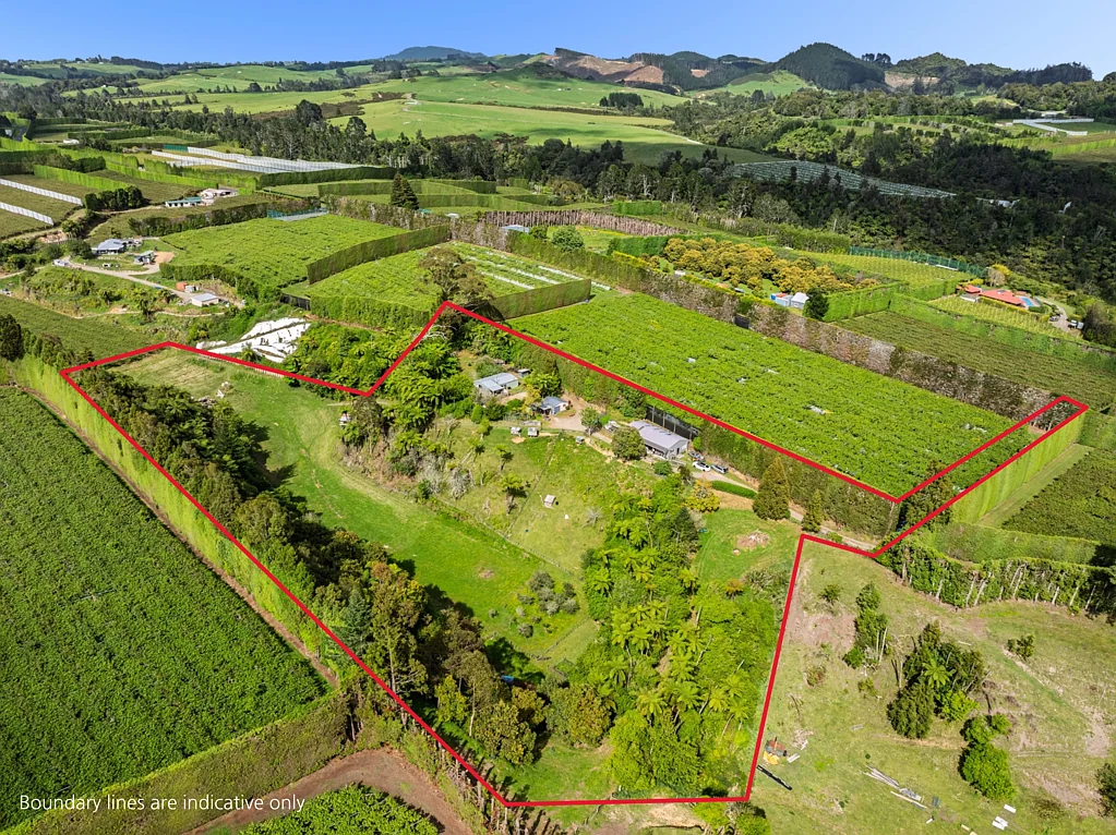 Te Puke Live the land, love the lifestyle