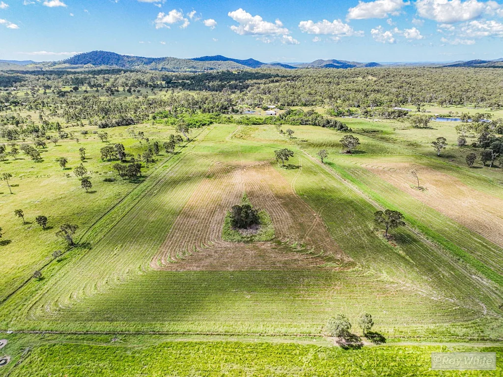 76 Mount Chalmers Road, Cawarral, QLD 4702