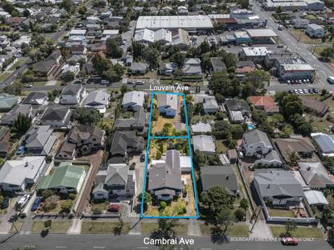 Mount Roskill 8房  Buy together or separately