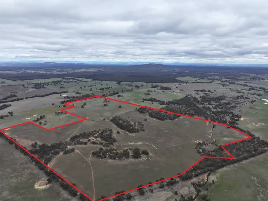 Lot 1 Rheola - Llanelly Road, Murphys Creek, VIC 3551