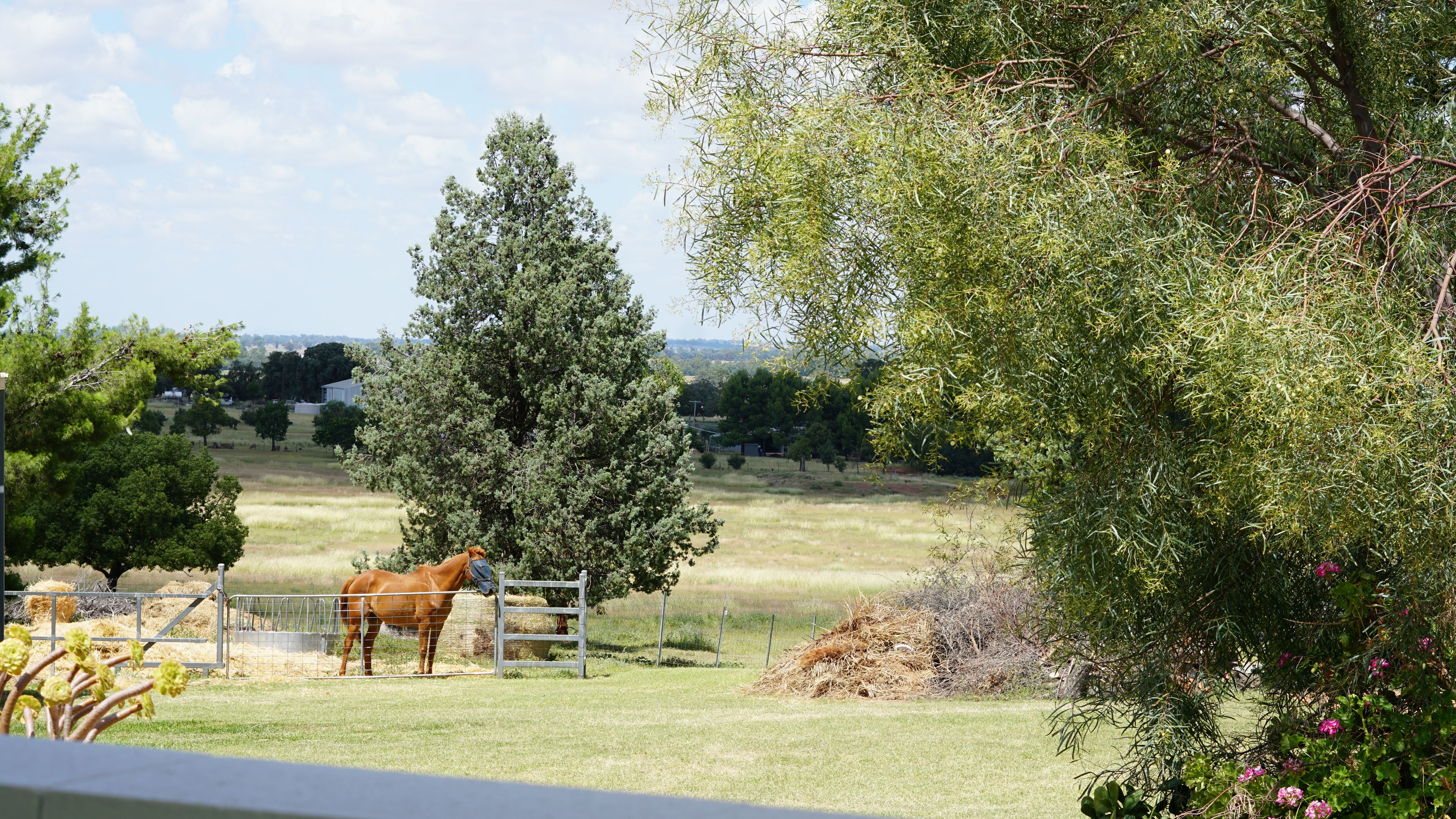 KANANGRA 3014 NEWELL HWY, PARKES NSW 2870, 0 Bedrooms, 0 Bathrooms, House