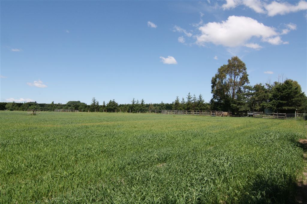 42 Whites Road, Ohoka, Waimakariri, 3 habitaciones, 0 baños