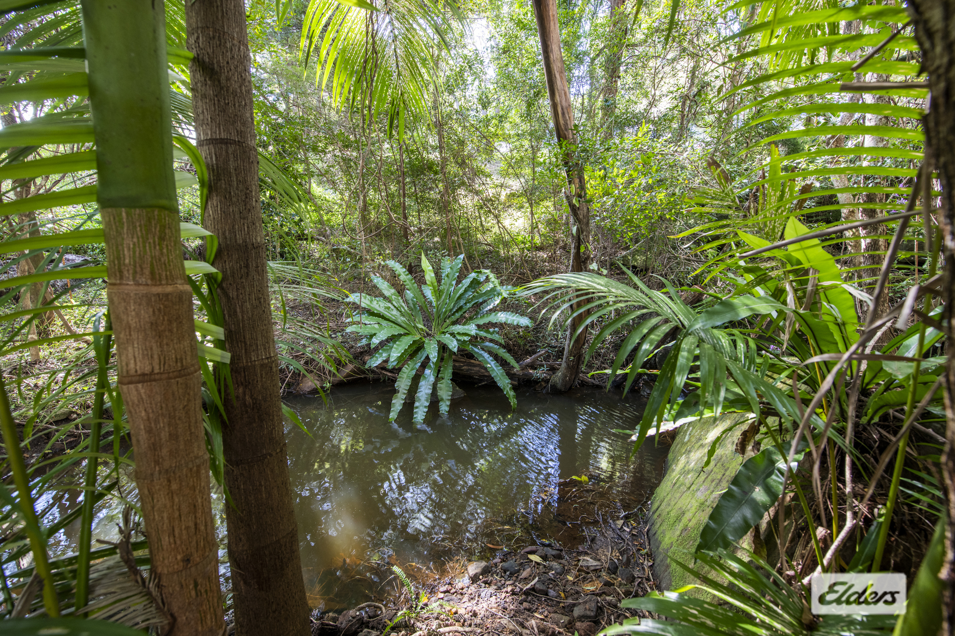 2 GLENBROOK CT, MACLEAN NSW 2463, 0 habitaciones, 0 baños, Section