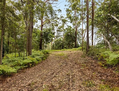 LOT 8/475 Verrierdale Rd, Verrierdale, Sunshine Coast, 0 कमरे, 0 बाथरूम, Section